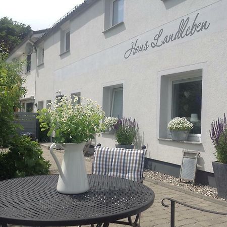 ❤️ Kleine Auszeit ❤️ Apartment Hohwacht Exterior photo